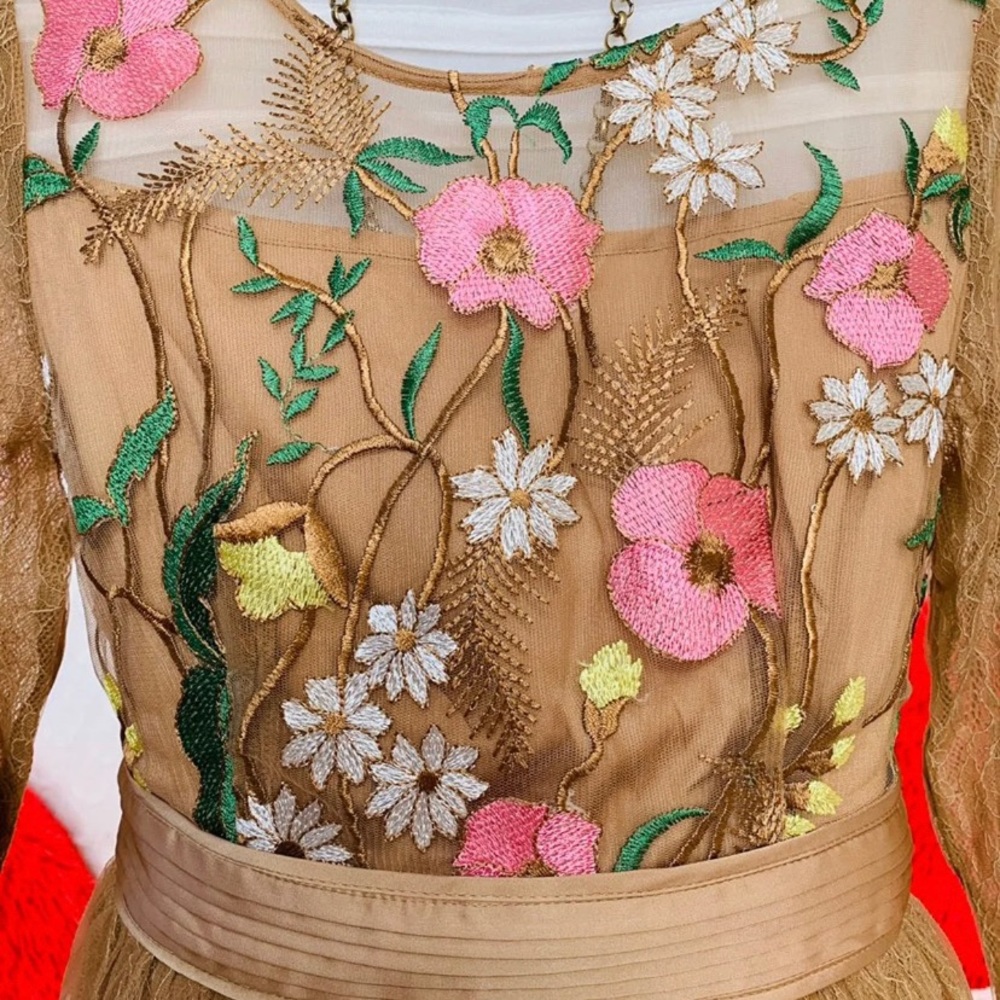 NWT embroidery dress